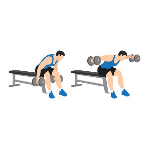 Man doing Dumbbell bent over reverse flyes. Flat vector illustration isolated on white ...