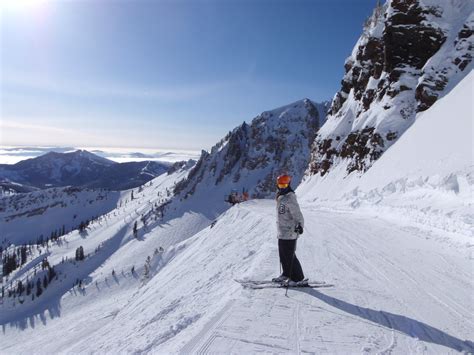 SNOWBIRD - Pictures - Newschoolers.com