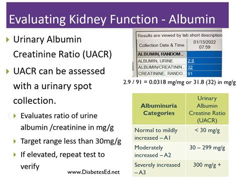 függöny Tenger Kézműves how to calculate albumin creatinine ratio ...