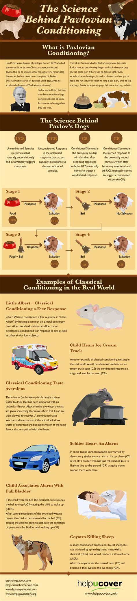 The Science Behind Pavlovian Conditioning [Infographic]