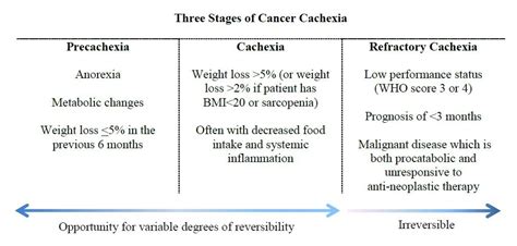 Navigating the Complex Terrain of Cancer Cachexia | Natural Medicine ...