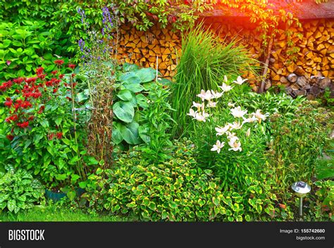 Lush Landscaped Garden Image & Photo (Free Trial) | Bigstock