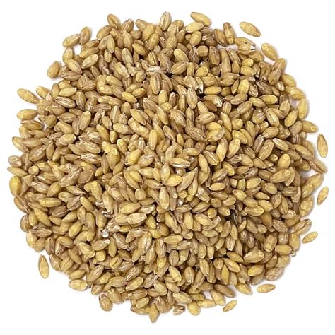 Organic Hulled Barley, 20 Pounds - Non-GMO, Kosher, Raw, Bulk Grain, Product of the USA - by ...