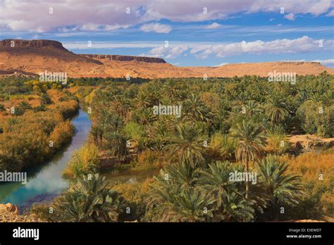 Tafilalet Oasis, Tafilalt Oasis, Ziz River, Gorges du Ziz, Ziz Valley ...