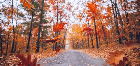 Stunning Fall Photos for Facebook Cover: Capture the Autumn Magic! - Fh ...