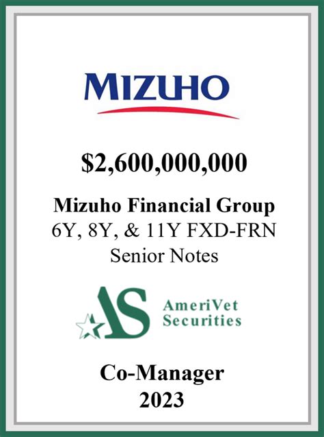 Mizuho Financial Group - AmeriVet Securities