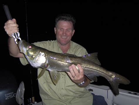 Snook | Florida Fishing Charters