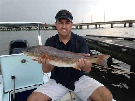 Mobile Bay Fishing Report: Aug 2014 | Fly and Light Tackle Fishing ...