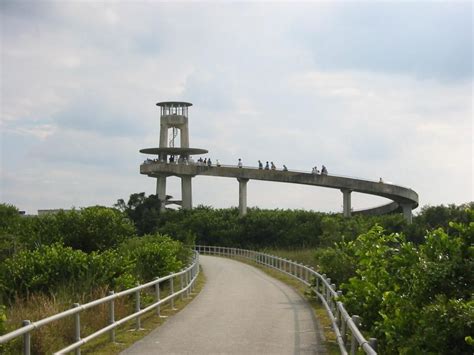 Shark Valley Tram Tours in Everglades Area, FL