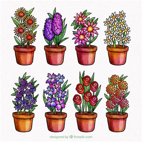 Free Vector | Collection of eight flowers