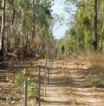 Two Men Encounter a Yowie in Australia? Two... - The Most Unique ...