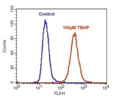 Cellular ROS Assay Kit (Orange) (ab186028) | Abcam