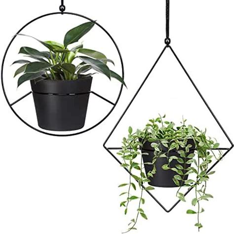 Hanging Plants | Metal plant hangers, Metal hanging planters, Hanging plants