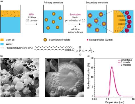 3D Printing Hierarchical Porous Materials - Perfect 3D Printing Filament