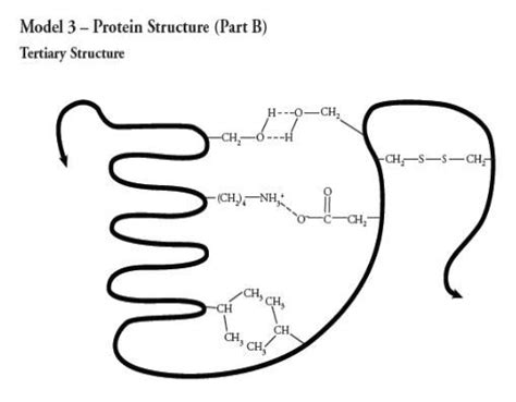 How many polypeptide chains are shown in the tertiary protein structure ...