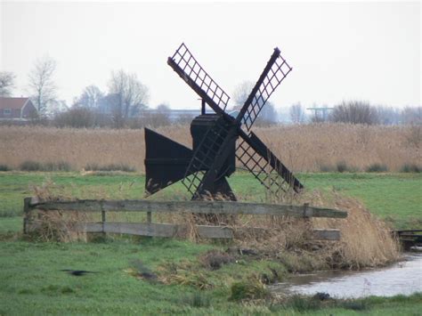 The Polder Model in Action | Rachel's Ruminations