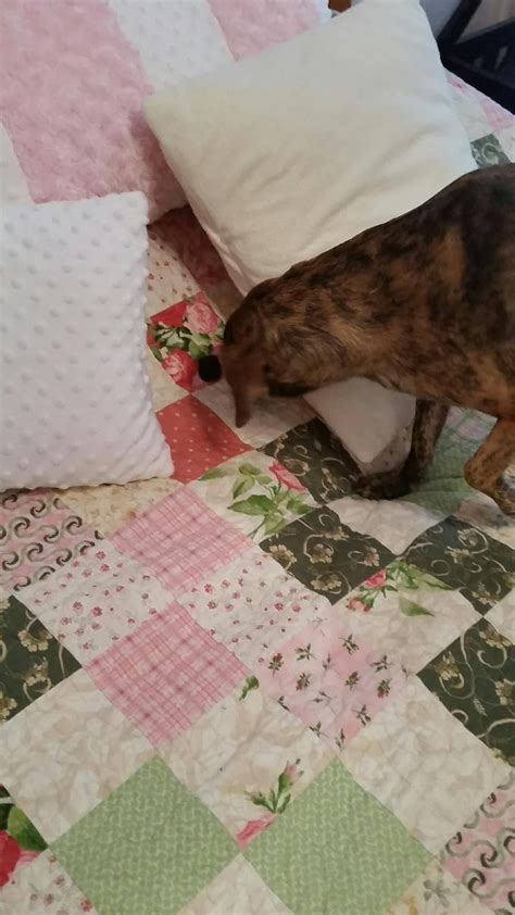 Millie's Quilting: Red quilt and orange and yellow pillows