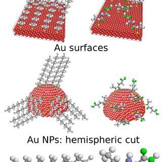 Scheme of self-assembled monolayer and non-ordered array formation: (a)... | Download Scientific ...