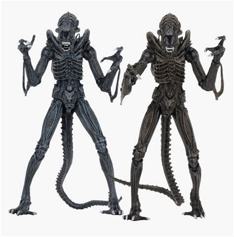 Transparent Ultimate Warrior Png - Neca Alien Warrior Blue, Png ...