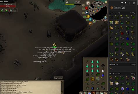 wasting all my RNG on cave horrors : r/ironscape