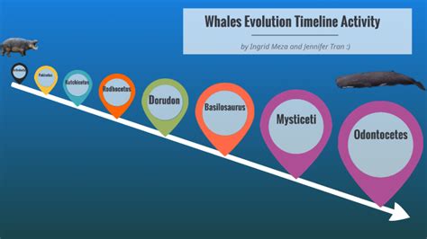 Whales Evolution Timeline by Jennifer Tran on Prezi