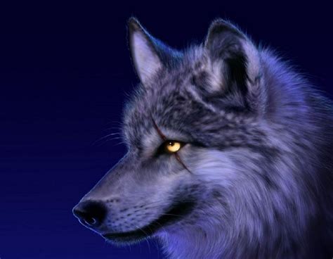 wallpaper serigala,mammal,canidae,wolf,wildlife,canis (#995392) - WallpaperUse