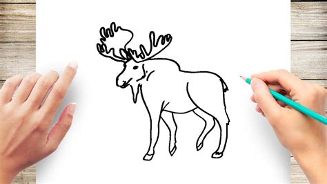 How to draw a moose - YouTube