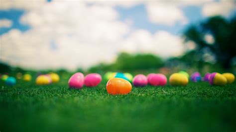 Wallpaper Colorful toy eggs, grass 2560x1600 HD Picture, Image