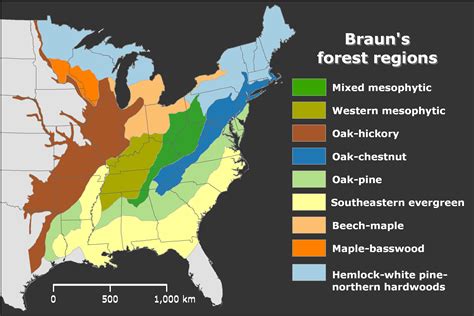 Forest Regions - James M. Dyer