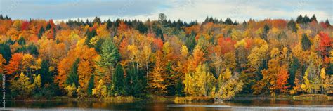 Lake Autumn Foliage Stock Photo | Adobe Stock