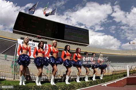 Denver Bronco Cheerleaders, Denver Broncos, Stock Pictures, Stock Photos, Cheerleading Pictures ...