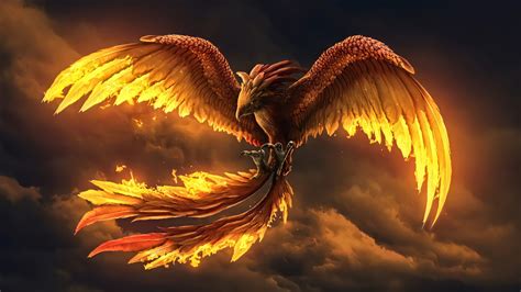 Fire Phoenix Wallpaper Hd