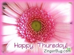 Happy Thursday Pink Flower Glitter Graphic, Greeting, Comment, Meme or GIF