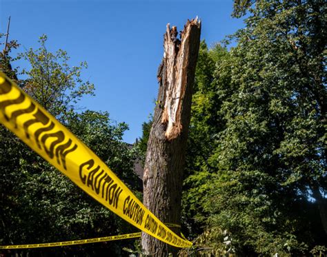 PHOTOS: Severe storm causes damage to Iowa State campus – Iowa State Daily