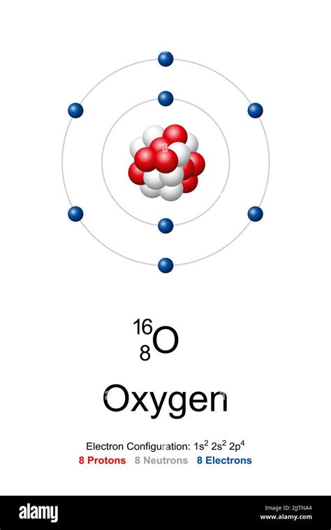 Oxygen, atom model. Chemical element with symbol O and with atomic ...