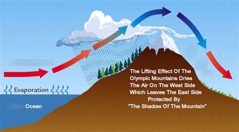 rain shadow effect diagram Diagram | Quizlet