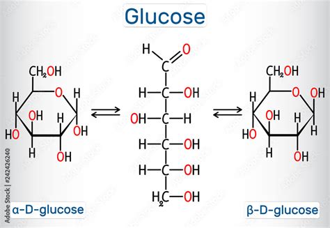 Glucose (dextrose, D-glucose) molecule. Сyclic and acyclic forms ...