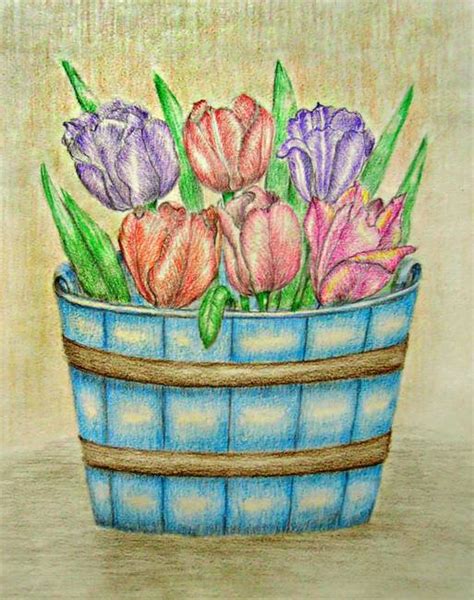 Drawing "Flower Basket" Colored Pencil Drawings And Illustrations For Sale On Fine Art Prints