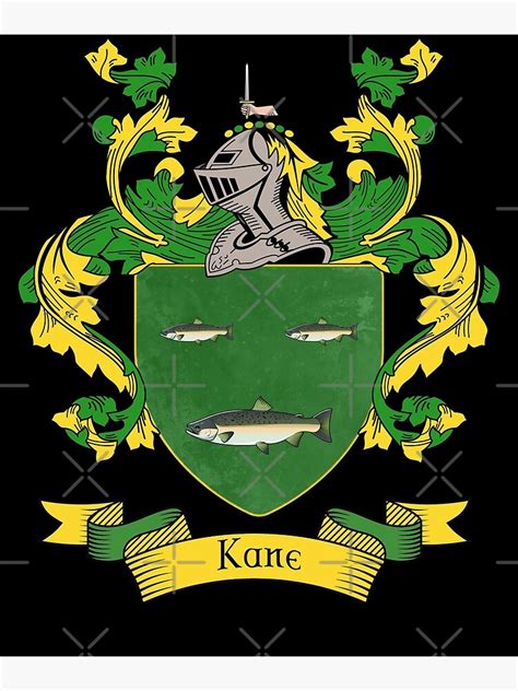 "Kane Coat of Arms | Kane Family Crest" Poster for Sale by chuppys ...