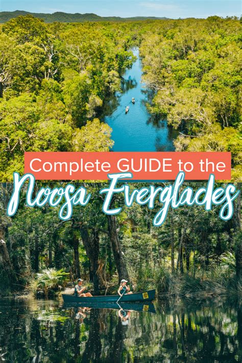 A Complete Guide To Visiting The Noosa Everglades