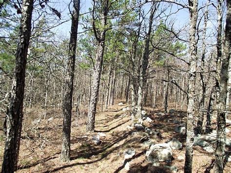 Black Fork Mountain Trail (Ouachita Forest) - 11 mi (o&b) | Arklahoma Hiker