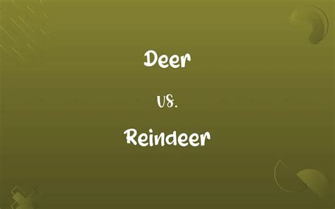 Deer vs. Reindeer: Know the Difference