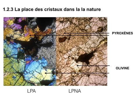 svtolycee: La péridotite : la roche du manteau terrestre