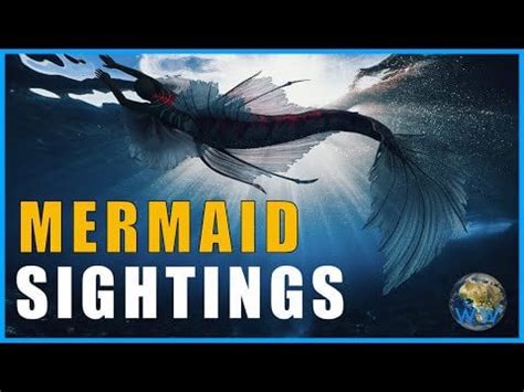 Why are there so many Mermaid Sightings? : r/Cryptozoology