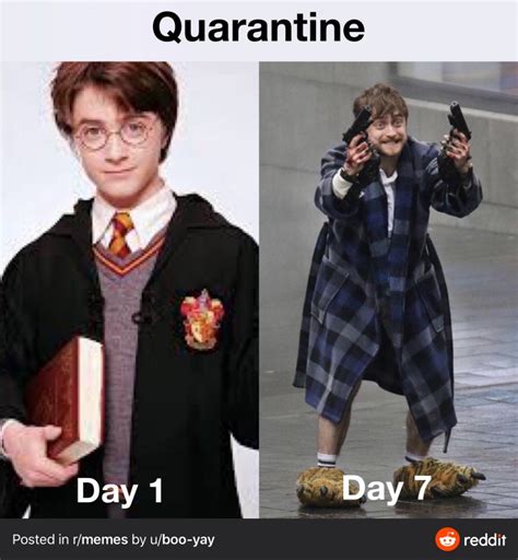 Daniel Radcliffe Meme