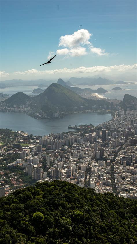 36 Hours in Rio de Janeiro: Things to Do and See - The New York Times