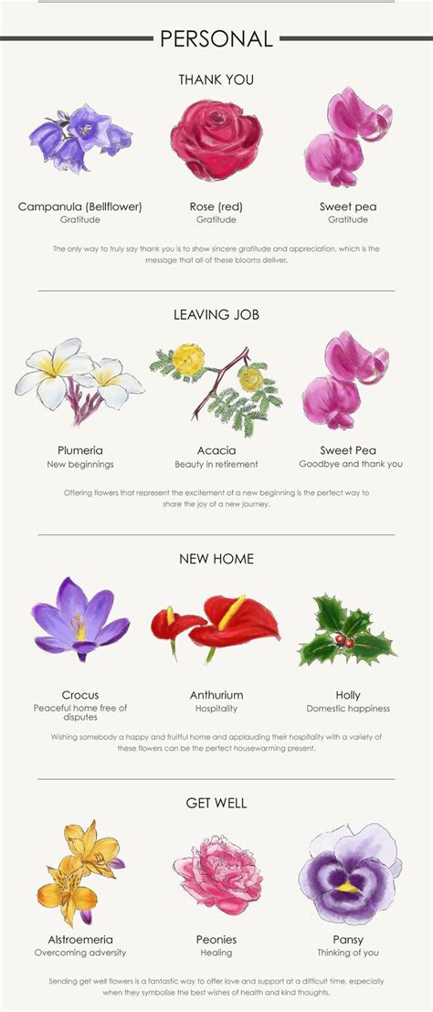 A Flower For Every Occasion: Your Complete Guide | Blomster