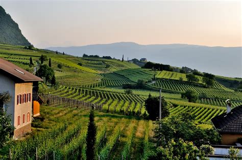 A Stunning Tuscan Wine Tasting Starring Rigoloccio Wines - WineTastrs