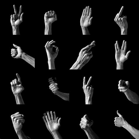 Hand Gestures Photograph by Peter Aprahamian/science Photo Library ...