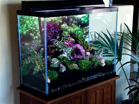 Empty Giant Fish Tank